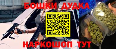 мдпв Партизанск
