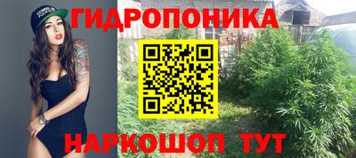 круглые Пушкино