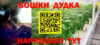 мдпв Партизанск