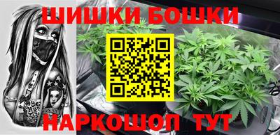 мдпв Партизанск