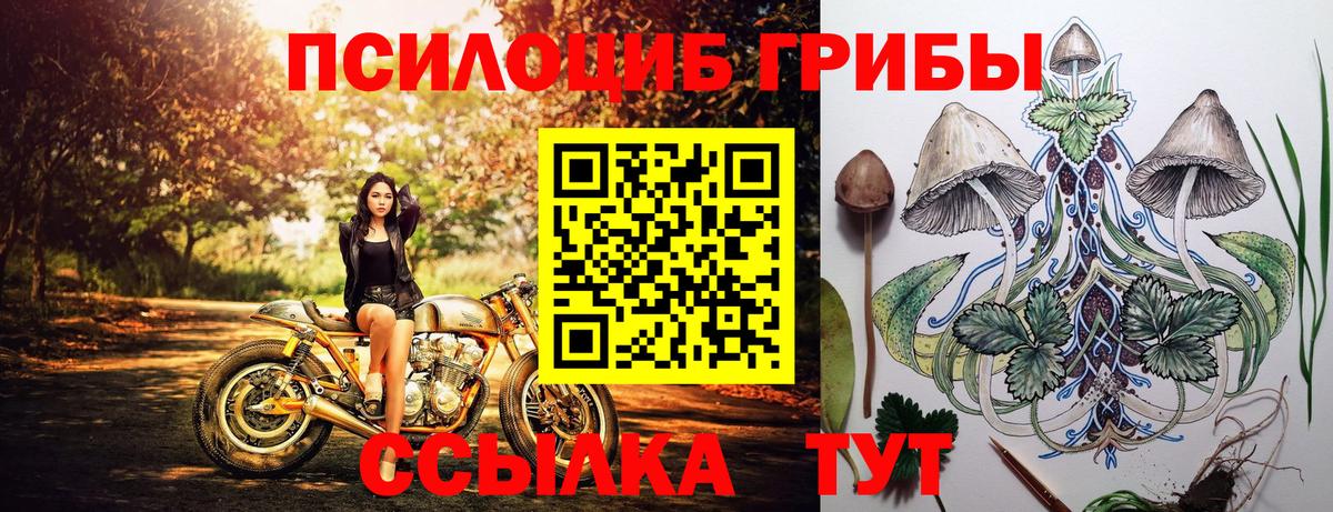Галлюциногенные грибы Magic Shrooms Ростов-на-Дону