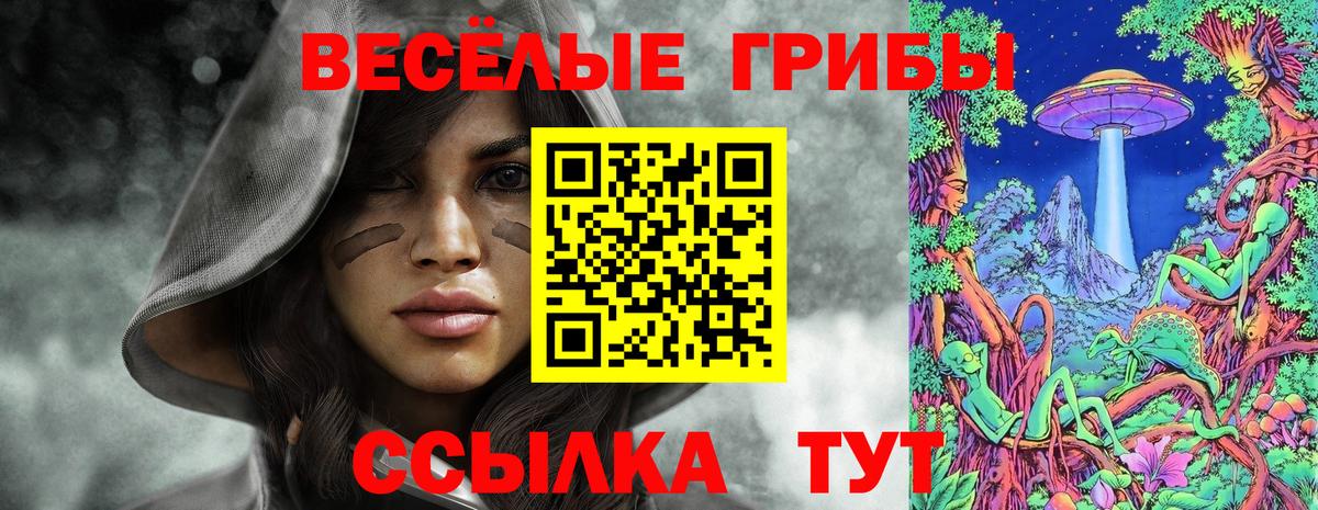 Псилоцибиновые грибы Psilocybine cubensis  Вход с VPN  Псилоцибиновые грибы Psilocybine cubensis  закладки  Ростов-на-Дону 